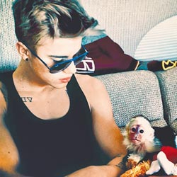 ��˹͡•�Ȳ������鷳������ﴳ���ر���45��