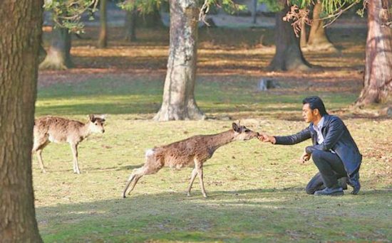 金城武拍广告全球跑日本喂鹿帅气(图)