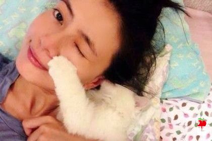 ��ԲԲ������è��������ֱ�ޡ�Ů�񡱣�ͼ��