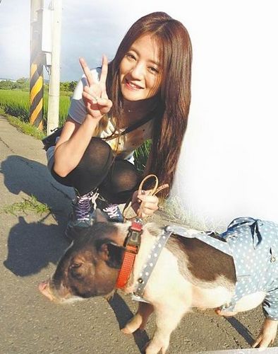 �������¾�緽��ָ����������Ա�����˺�ԩ��ͼ��