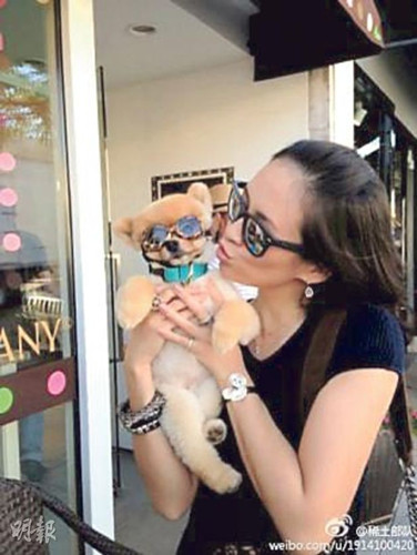 ��������ɼ�����ɰ�С����ǰӵ�ǣ�ͼ��