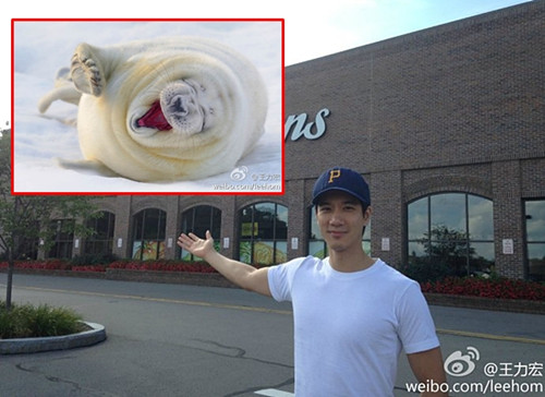 ����������ż���Բи���˿��������ʨɽ�ˡ�����