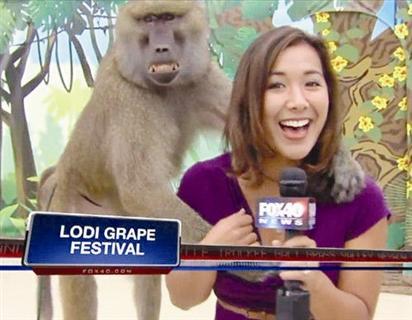 点图查看下一页