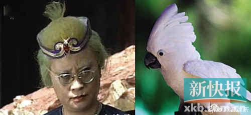 ladygaga顶白发亮相 酷似《小龙人》鹦鹉婆婆(图)