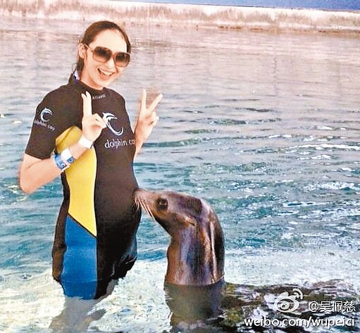 �����ɹ���н���ͦ����뺣ʨ���ܻ�����ͼ��