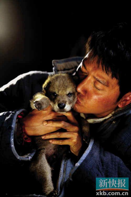 电影《狼图腾》杀青冯绍峰亲吻幼狼(图)