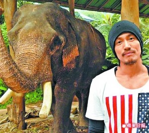 言承旭庆祝37岁生日林志玲:祝找到“白马公主”