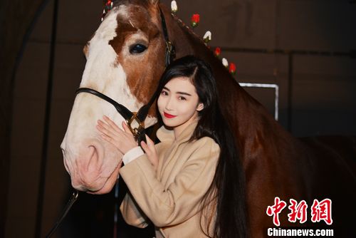 女星张辛苑长城脚下骑马嬉戏(组图)