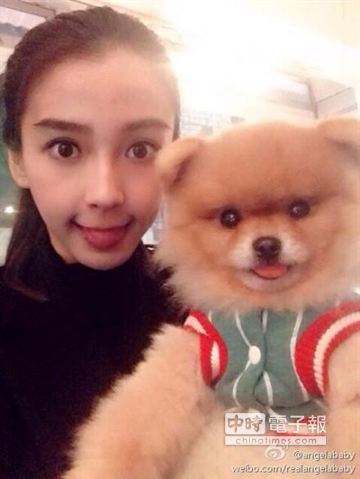 Angelababy卖萌学狗吐舌头网友:女神又调皮了