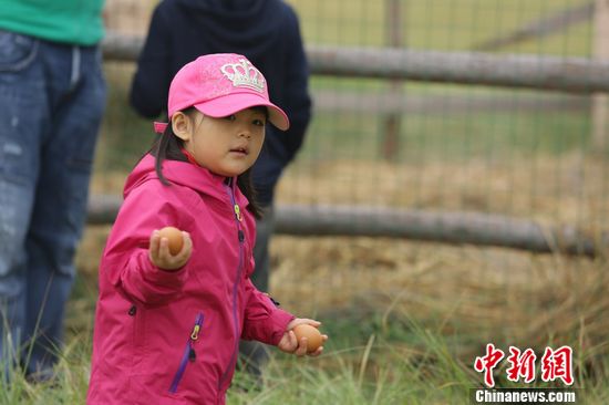 点图查看下一页