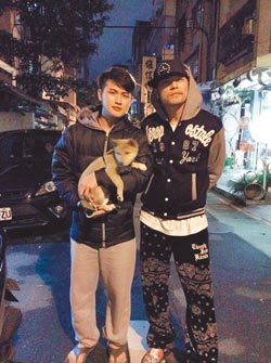 �ܽ��װ�����޹�����ҧ̬���׺ͱ��ޣ�ͼ��