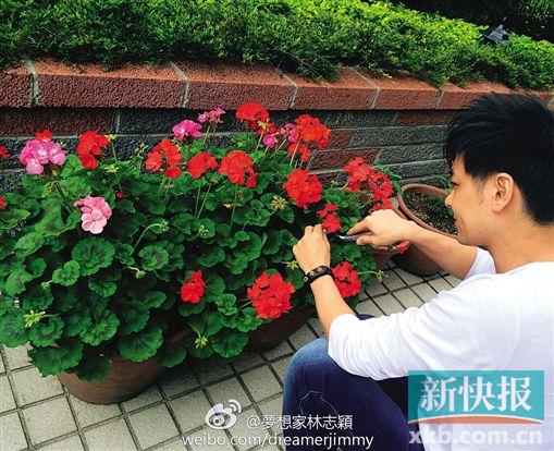 ��־ӱϸ�Ĵ��������Ż���һ�����㣨ͼ��