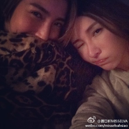 ������ɹ����������ձ����ѵ�٩������������ͼ��