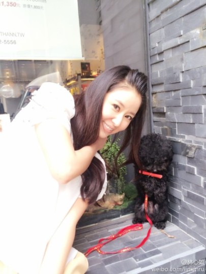 ������ɹ�������빷����Ӱ������ͷ��ͼ��