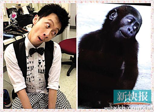 Ц�ǳº��������ֶ�����ָ������ɣ�ͼ��