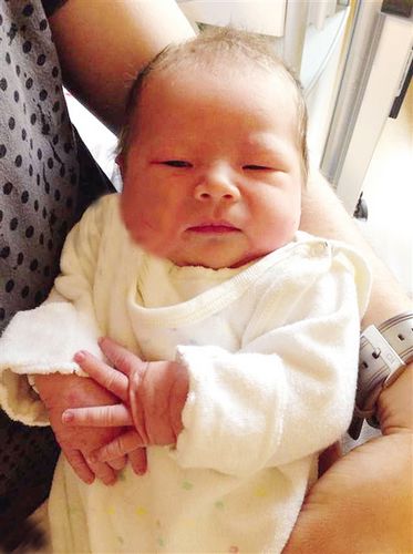 ������Ѫ�������ع�Ծ�ͷ������ģ���ɰ���ͼ��