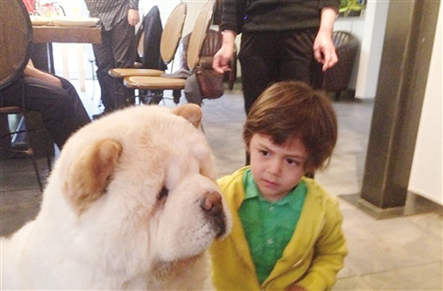 ����ɹ��������ʨ�������ѣ��ĸ��Ƕ��ӣ���ͼ��