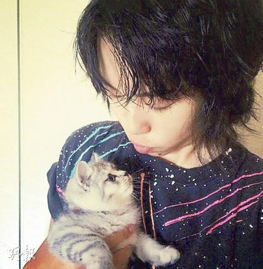 񼾸ͯɹ��è�վ����������붯��Ի���ͼ��