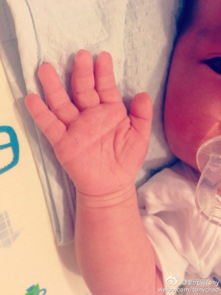 ����������������ع�ɹ�쵰����ϲ�ã�ͼ��