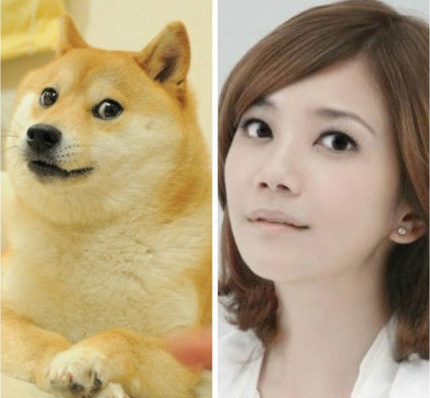 �����㱻ָ�����ձ���Ȯ����ɹ�Ա��գ�ͼ��