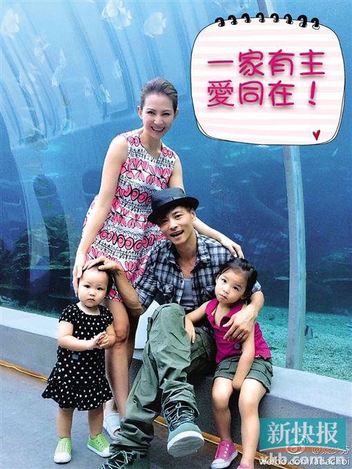 ���ٷ�ɹȫ�Ҹ�Ϊ�Ϲ��Ž�������ͼ��