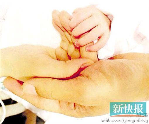杨幂晒一家三口牵手照女儿乳名为“小糯米”(图)