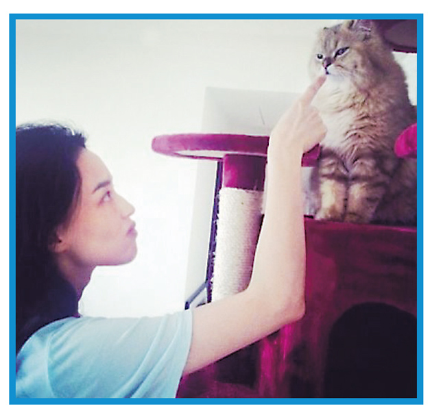 ���ɹ����ѵ����è������ָ�Ǿ���������ͼ��