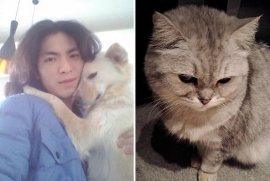 ������̸�����ۿ�����Ը���ϰ�è��13�꣨ͼ��