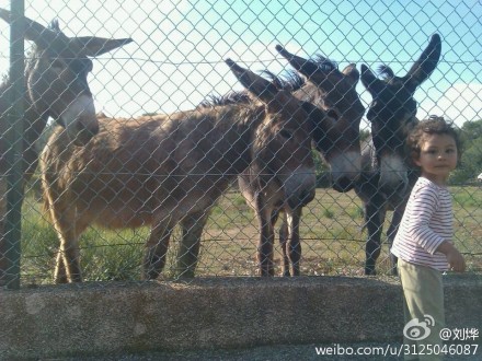 ����ɹ��ѪŮ����¿��Ӱ����������̬ʮ�㣨ͼ��