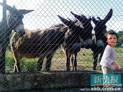 ���ǰ�Ů������ˣ�����Ծ�ͷƯ���ɰ���ͼ��