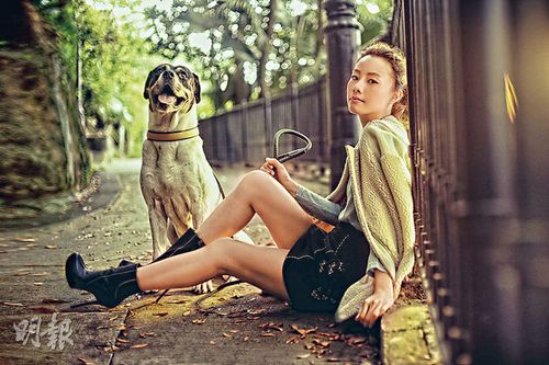 �������Ļ����������ȱ��ó涣ҧ��ͼ��