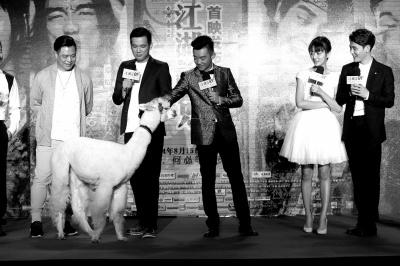 ֣����Ƭ�붯���ݶ���Ϸ����������ͷ��ͼ��