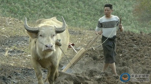 台湾电影《冰毒》将参与争夺第87届奥斯卡奖