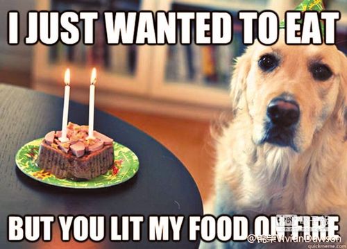 �������������������������������з����