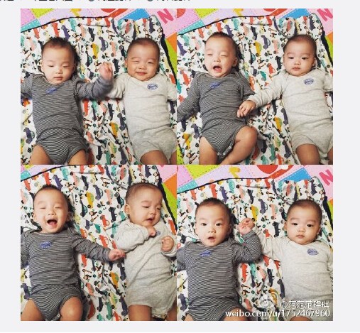 ������ɹ˫��̥���Ӵ����հ���գ�����ࣨͼ��