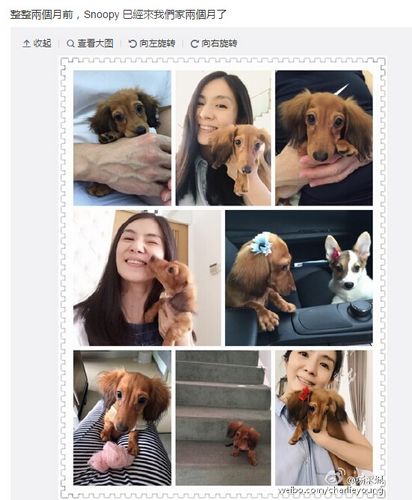 ������밮Ȯ���ܺ��հ�Ȯ���������ˣ�ͼ��