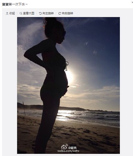 ŷ��ɹ���޴����Ů�����������֫����ϸ��ͼ��