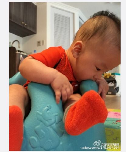 ������˫��̥������ϰ��һ�˿���ͷһ�˿�ҧ����