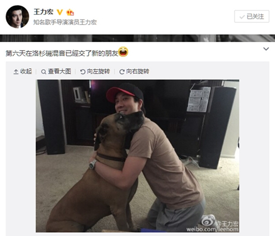 ������ɹ�����Ȯ��Ӱ�������µ����ѣ���ͼ��