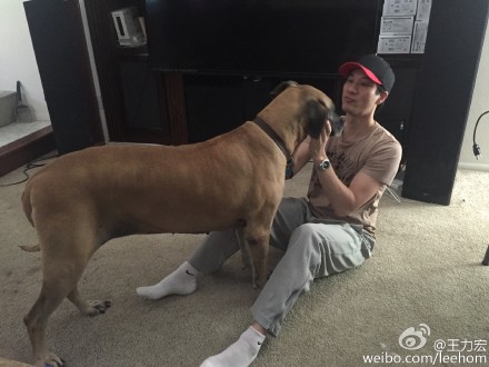 ������ɹ�����Ȯ��Ӱ�������µ����ѣ���ͼ����3��