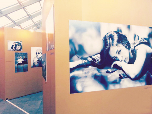 ��Ψ������ѡ��ɽ����չ���˴�Լ���ʳ��ڣ�ͼ��