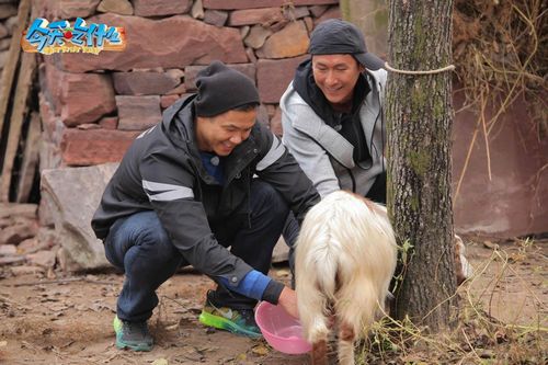 �������ʲô��ӭ��ũ���֡�����������գ�ͼ��