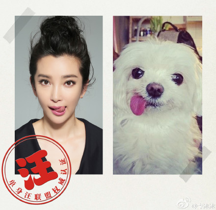 李冰冰模仿狗狗表情 翻白眼,吐舌头神还原(组图)