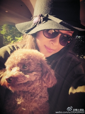 ������ɹ�շ����Ѳ������巽��ûʲô�û�Ӧ��