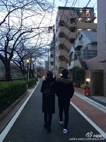 ����������������ɢ����Ӱ�ơ�������ͳ����ˡ�