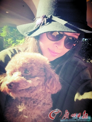 ������ɹ�빷��Ӱ�ɻ�Ӧ���Ӵ�����������ٵ���