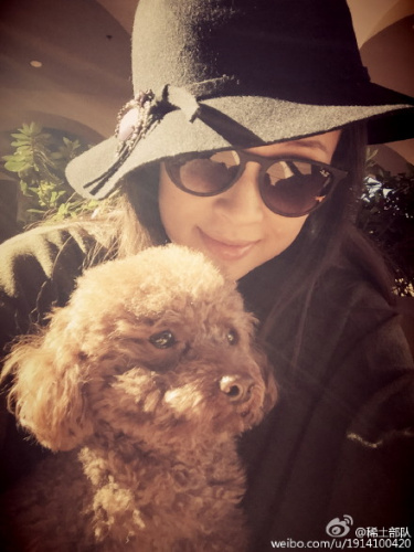 ֪���˷������������Ӵ��ţ���ȷʵ�������к���ͼ��