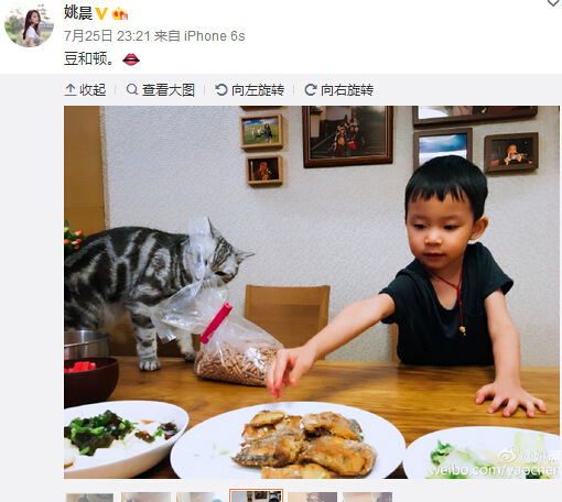 Ҧ�����������è������ˣè���������������