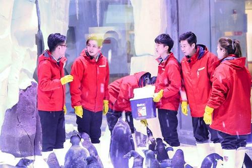 《极限挑战5》开启食物链生存战迪丽热巴玩转海洋馆