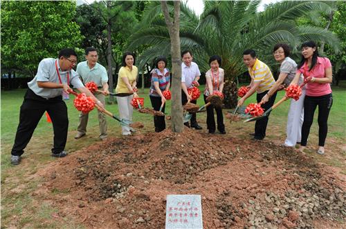 ���������������������ɽ����������ֲ��������